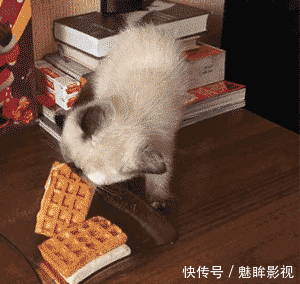 t013af351b18b42166c.gif