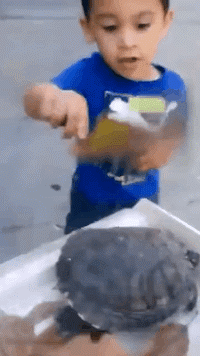 t01de27a8b782051028.gif