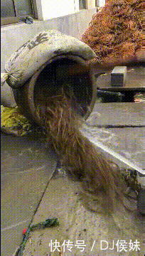 t01d3db121b99add950.gif