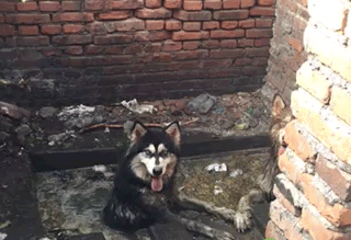 ffaa78e58b718e4ce2ed3b3c66852376.gif