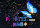 3-1F11PZ557.gif