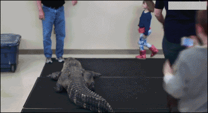 988eb5f8abb74ac2a4d46bbccfd9e5bd.gif