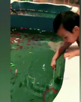 ca803bc7d5fc477b9ce73b8f10126a62.gif