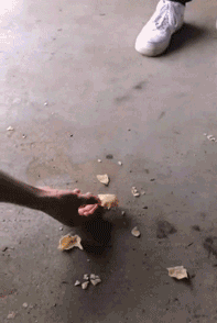 t0182fb6da60a8183e2.gif