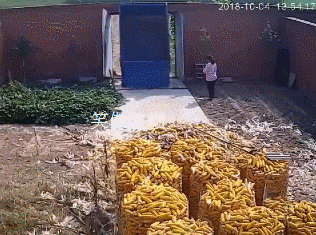 240af05abdd94990a176f466ad955389.gif