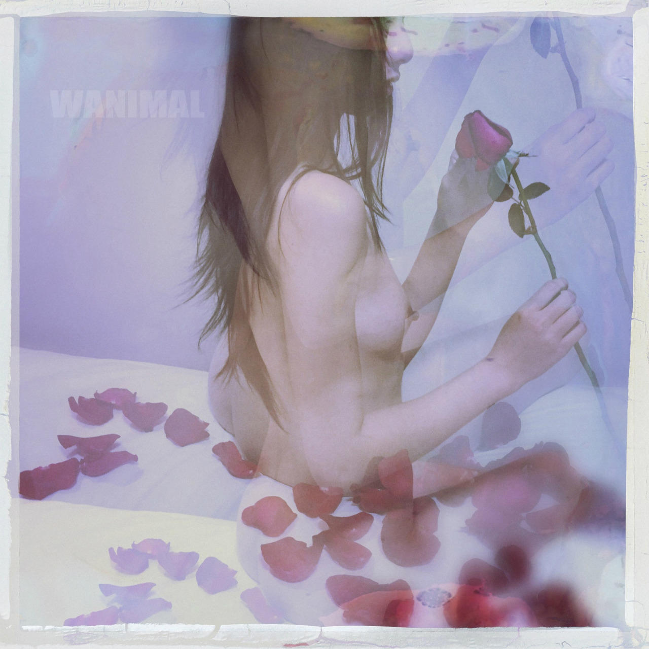 bf83fdbe2e160da1d205d813318c99e0.jpg