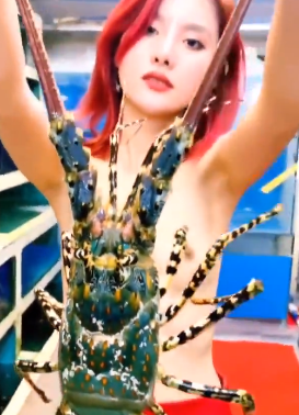 QQ截图20200907061553.png