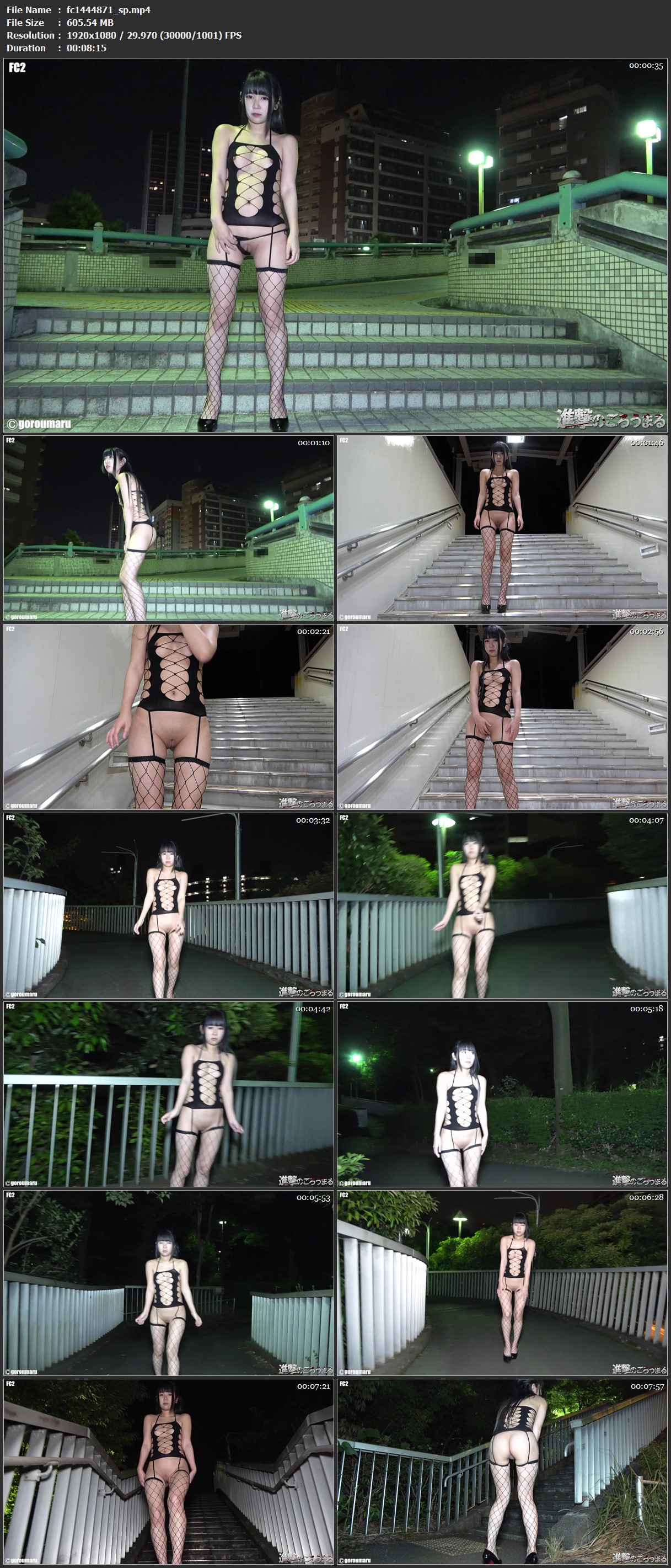 fc1444871_sp.mp4.jpg