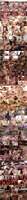 t5q2j9lh7by6_t.jpg