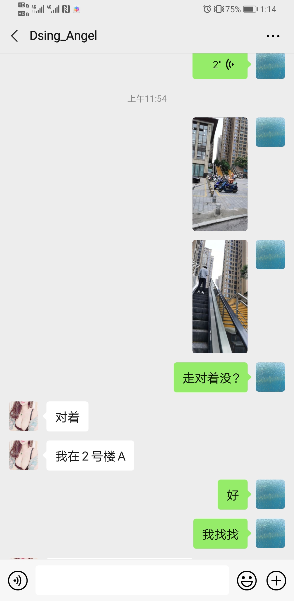 06.jpg