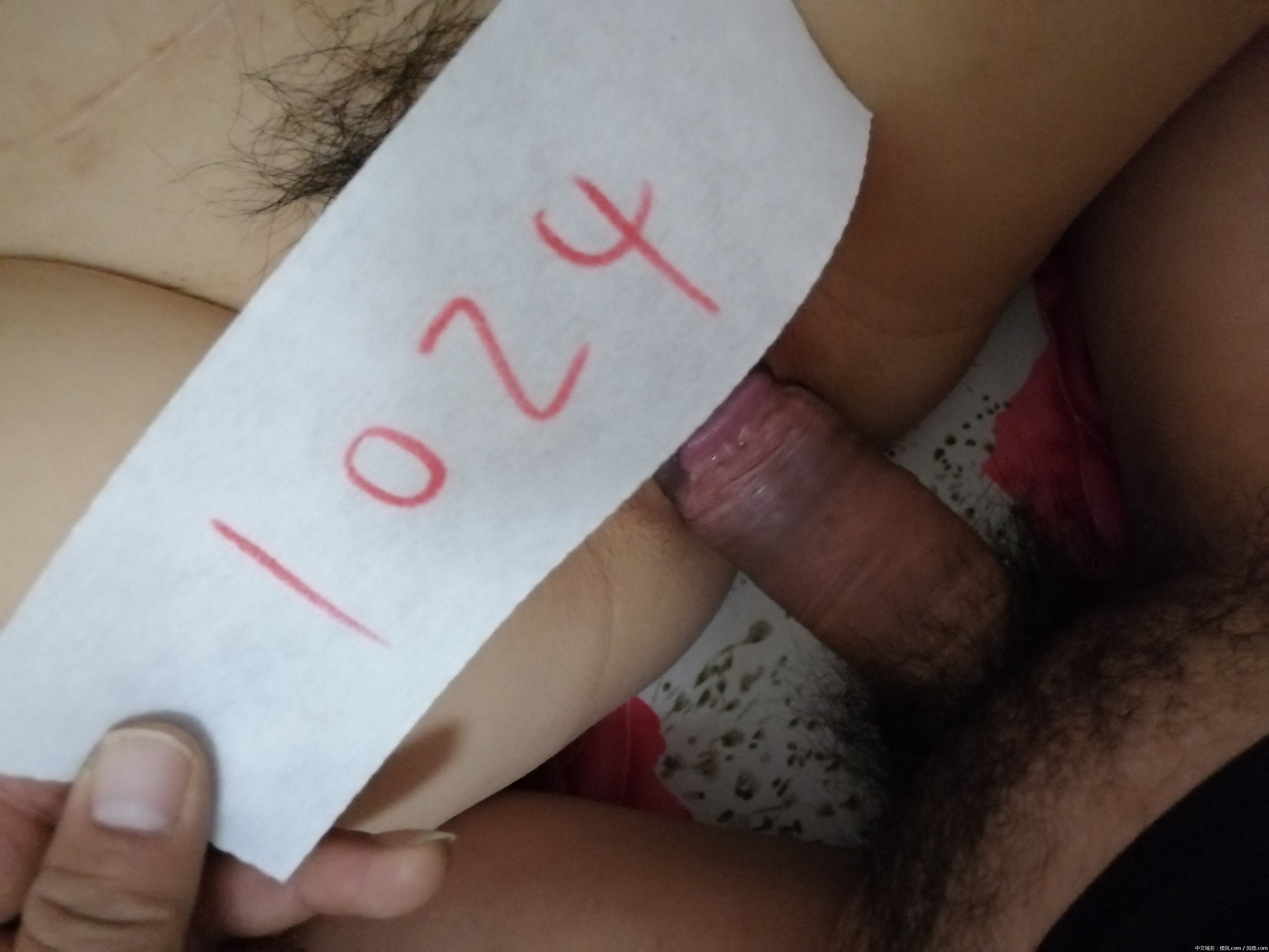 8sb93t.jpg