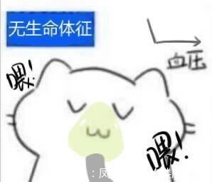 47efa39d1bc34a39.jpg