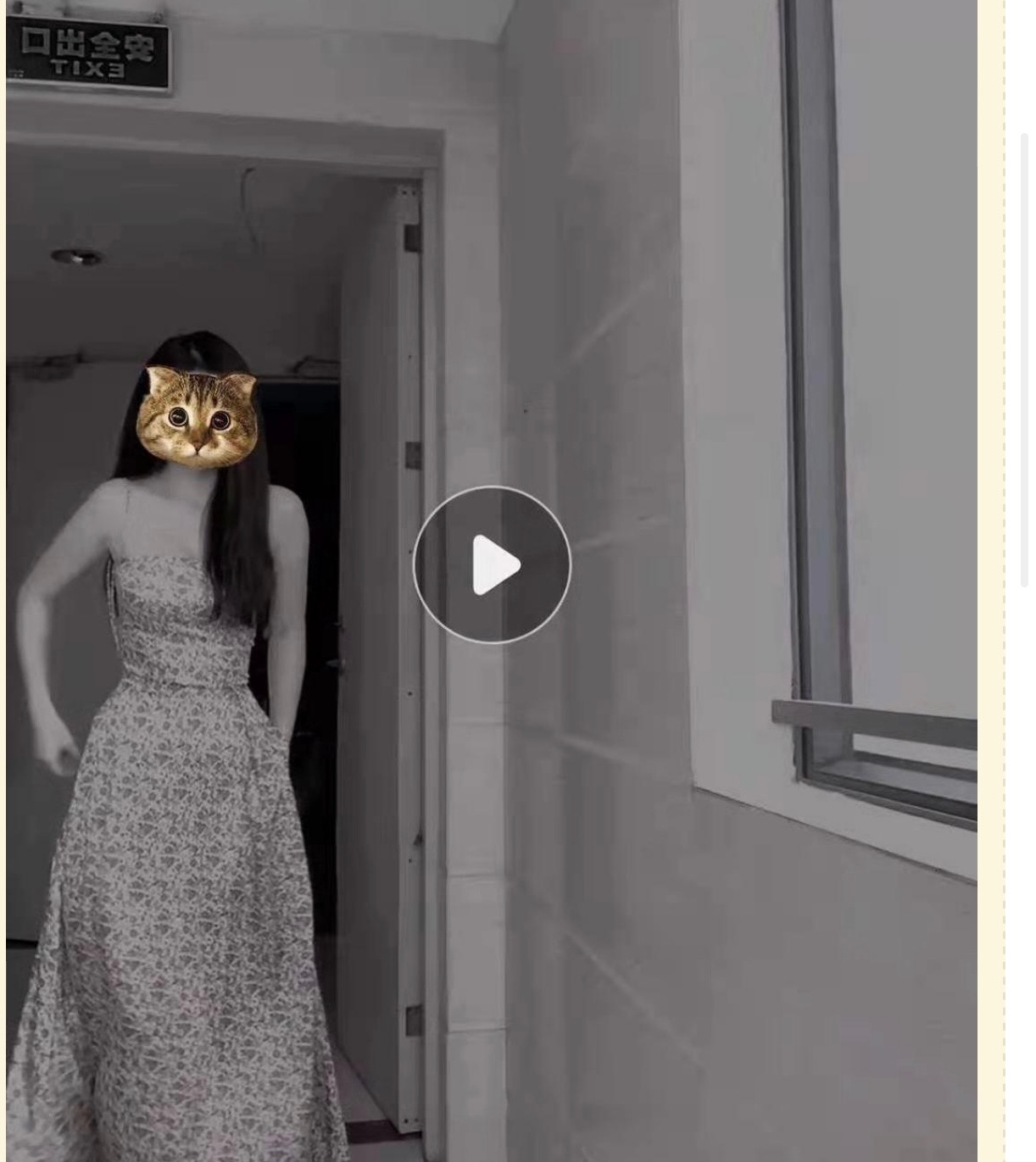 13DF4D56-032C-4873-97B2-0B28F57DAC8C.jpeg