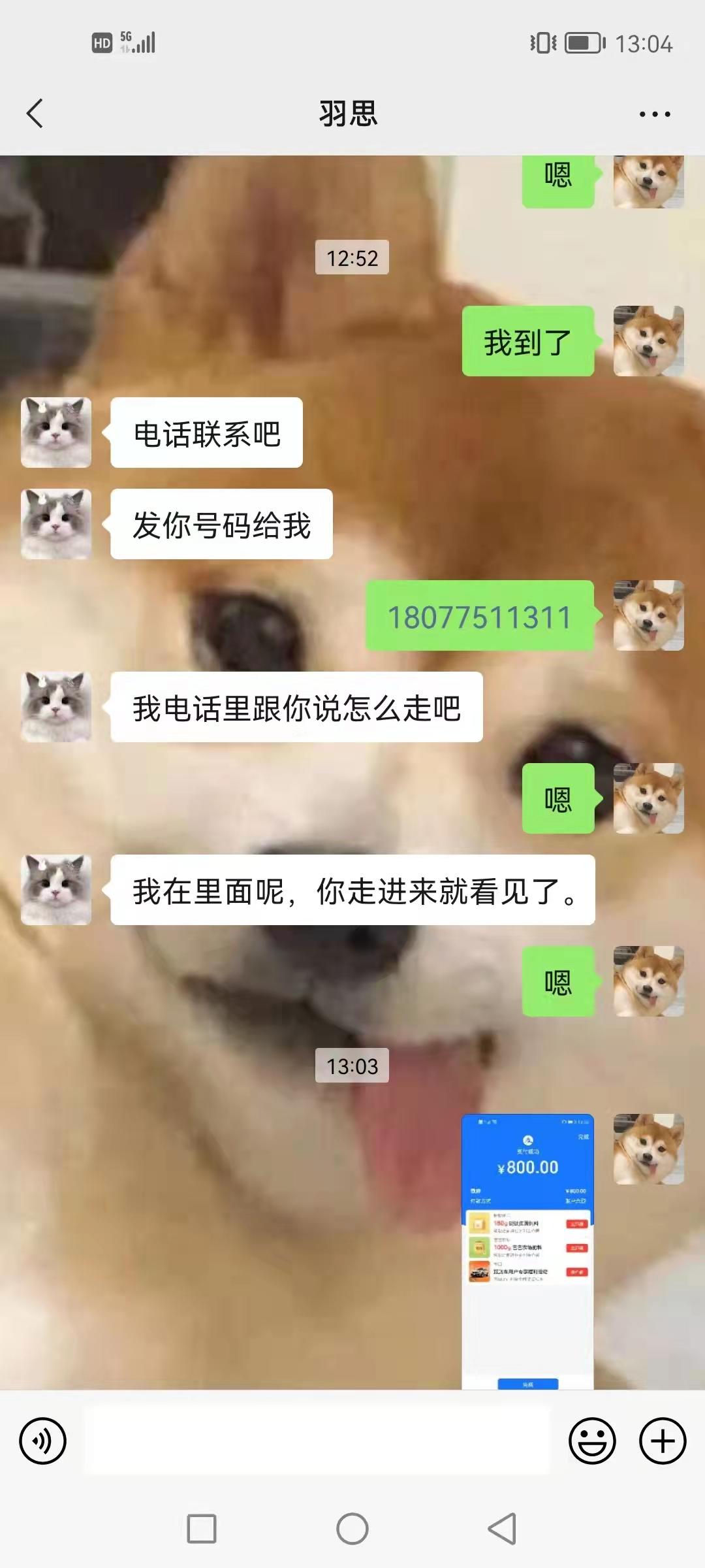 f551867bb2cb5c50bade5b59a0539351.jpg