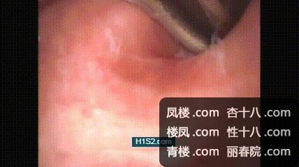 g1305.jpg