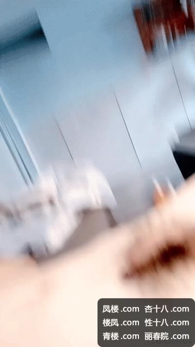 521369.jpg