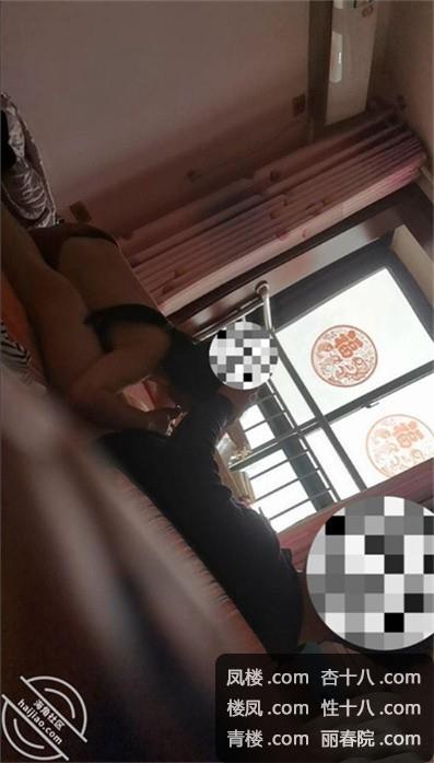 8d6740.jpg