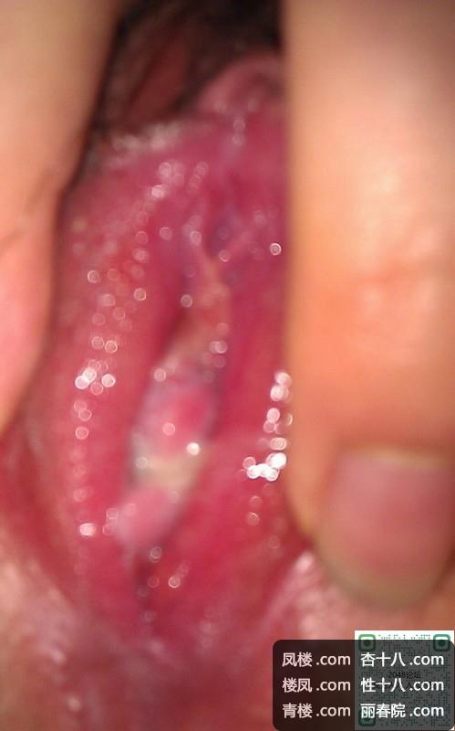 84b530096821778d.jpg