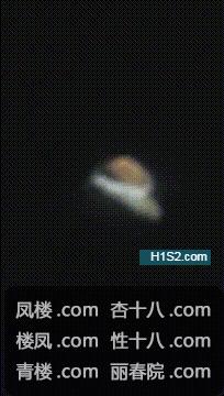 a0909.jpg